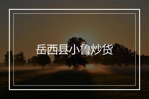 岳西县小鲁炒货