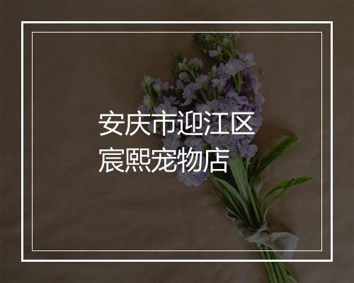 安庆市迎江区宸熙宠物店