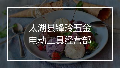 太湖县锋玲五金电动工具经营部