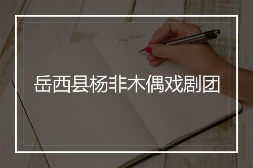 岳西县杨非木偶戏剧团