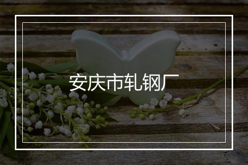 安庆市轧钢厂
