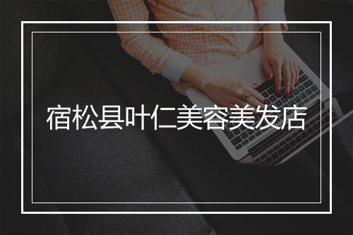 宿松县叶仁美容美发店
