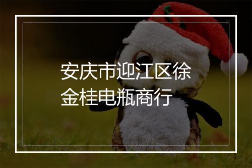 安庆市迎江区徐金桂电瓶商行