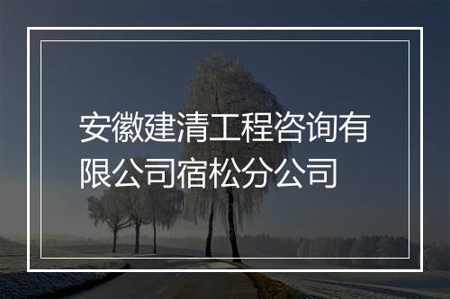 安徽建清工程咨询有限公司宿松分公司