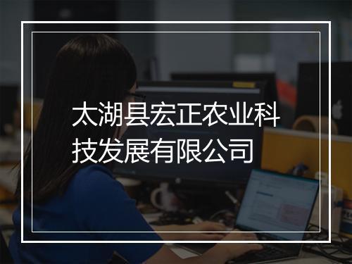 太湖县宏正农业科技发展有限公司