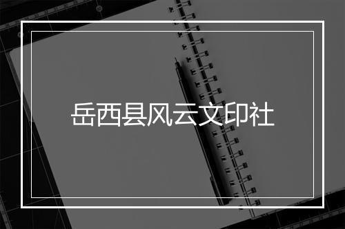 岳西县风云文印社