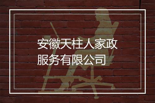 安徽天柱人家政服务有限公司