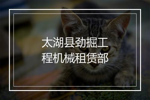 太湖县劲掘工程机械租赁部