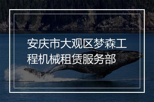 安庆市大观区梦森工程机械租赁服务部