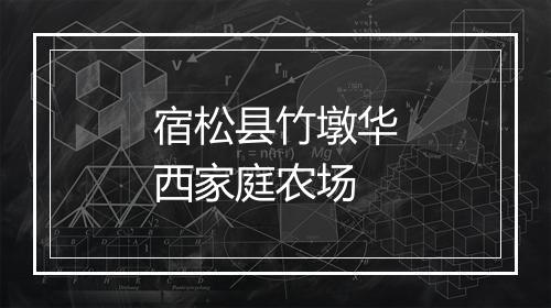 宿松县竹墩华西家庭农场