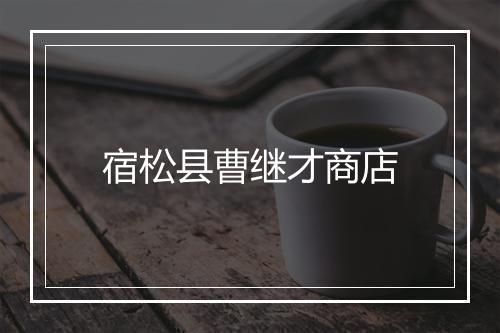 宿松县曹继才商店