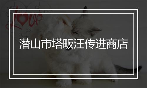 潜山市塔畈汪传进商店