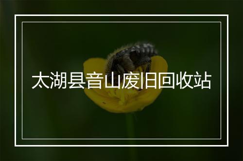 太湖县音山废旧回收站