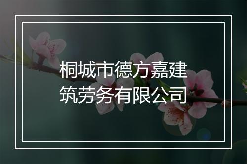 桐城市德方嘉建筑劳务有限公司