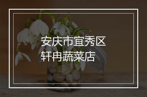 安庆市宜秀区轩冉蔬菜店