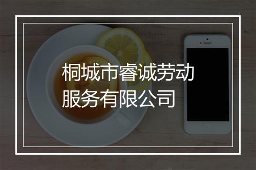 桐城市睿诚劳动服务有限公司