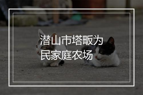 潜山市塔畈为民家庭农场