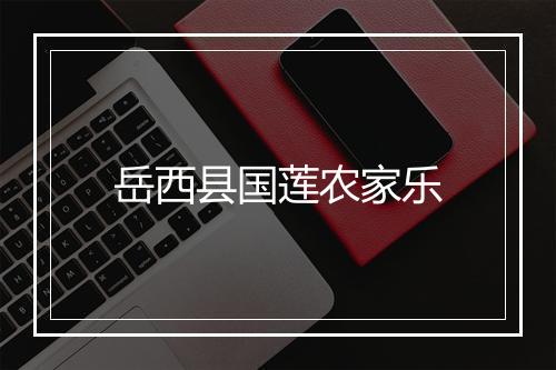 岳西县国莲农家乐