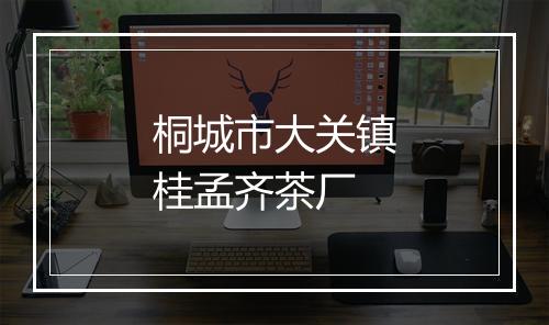 桐城市大关镇桂孟齐茶厂