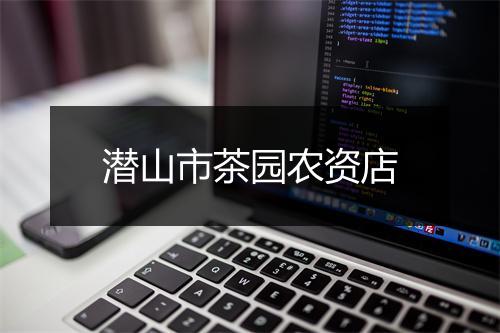 潜山市茶园农资店