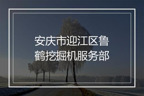 安庆市迎江区鲁鹤挖掘机服务部