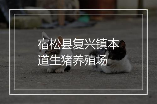 宿松县复兴镇本道生猪养殖场