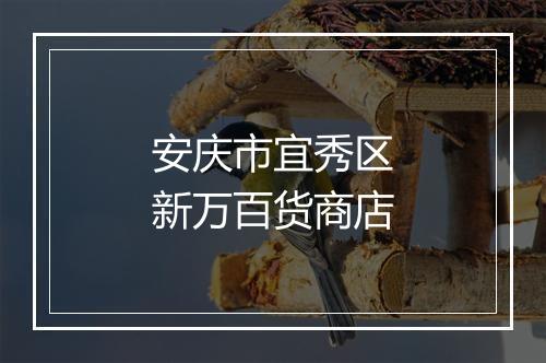 安庆市宜秀区新万百货商店