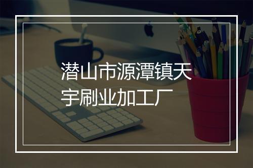 潜山市源潭镇天宇刷业加工厂