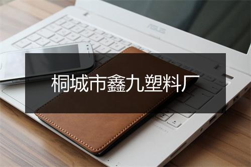 桐城市鑫九塑料厂