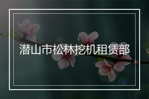 潜山市松林挖机租赁部