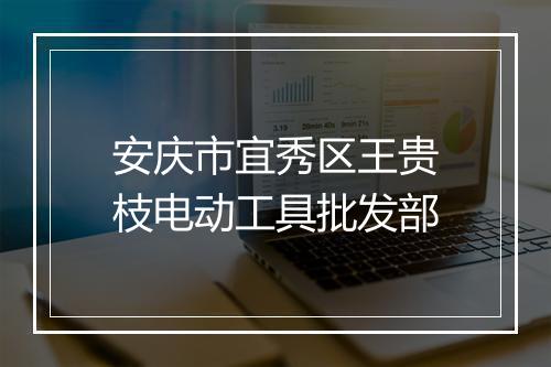 安庆市宜秀区王贵枝电动工具批发部
