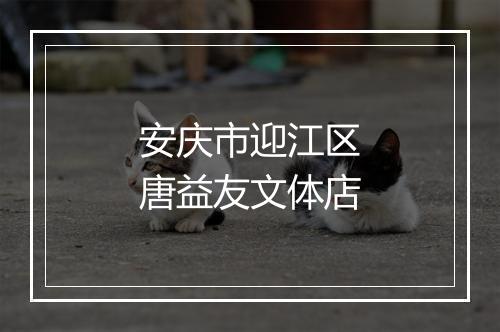 安庆市迎江区唐益友文体店