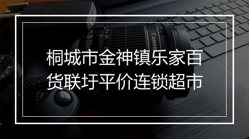 桐城市金神镇乐家百货联圩平价连锁超市