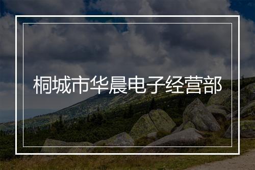 桐城市华晨电子经营部