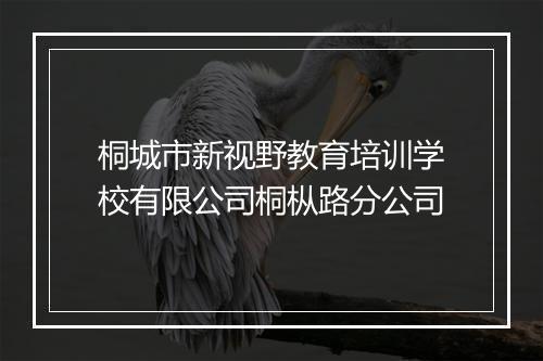 桐城市新视野教育培训学校有限公司桐枞路分公司