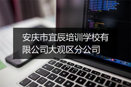安庆市宜辰培训学校有限公司大观区分公司