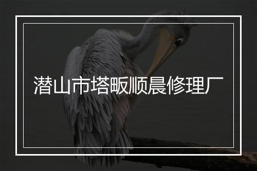 潜山市塔畈顺晨修理厂