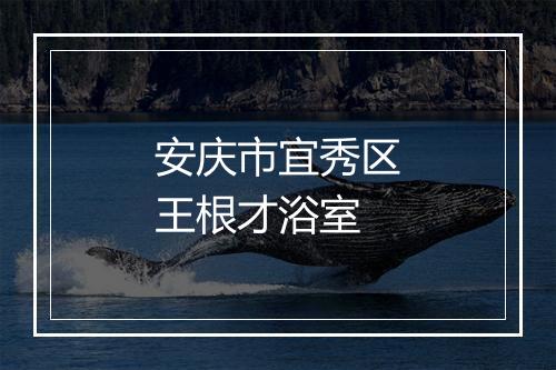 安庆市宜秀区王根才浴室