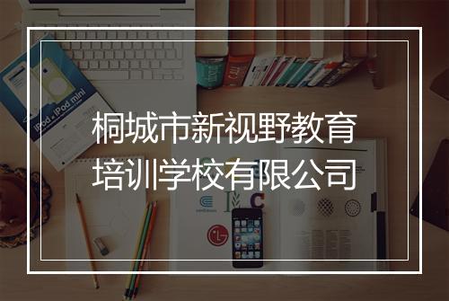 桐城市新视野教育培训学校有限公司