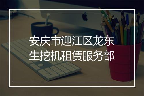 安庆市迎江区龙东生挖机租赁服务部