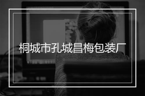 桐城市孔城昌梅包装厂