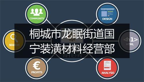 桐城市龙眠街道国宁装潢材料经营部