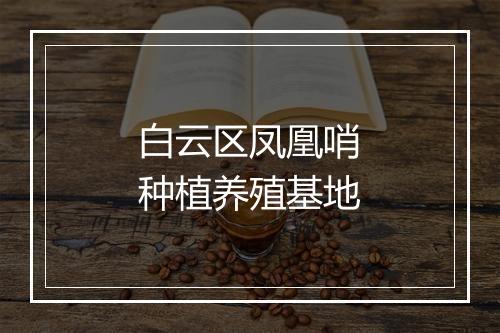 白云区凤凰哨种植养殖基地