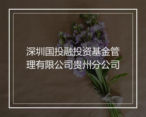 深圳国投融投资基金管理有限公司贵州分公司