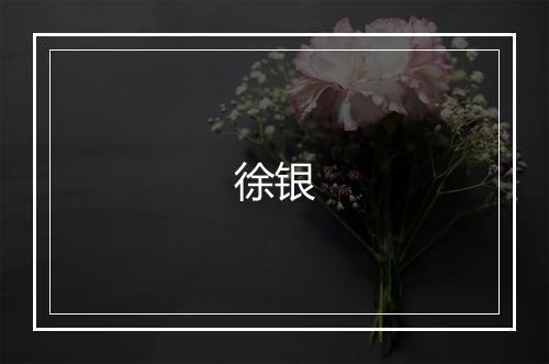 徐银