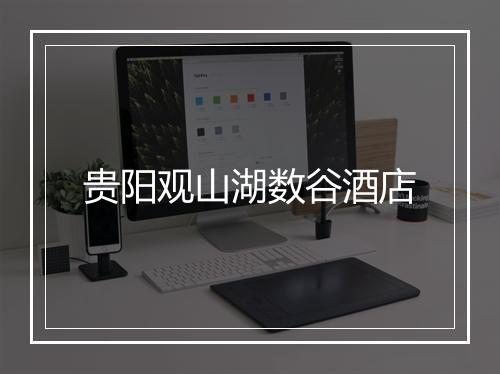 贵阳观山湖数谷酒店