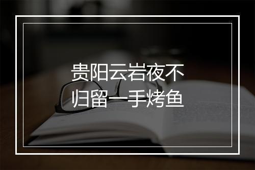 贵阳云岩夜不归留一手烤鱼