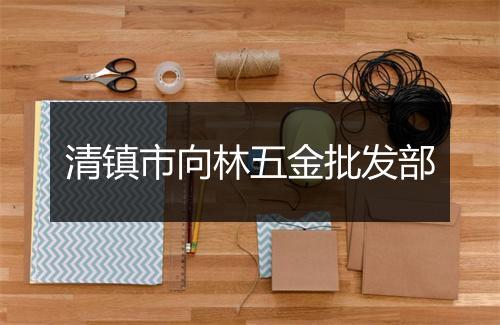 清镇市向林五金批发部