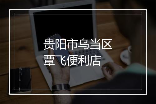 贵阳市乌当区覃飞便利店