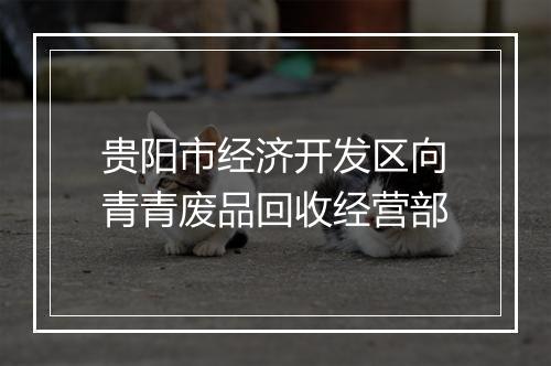 贵阳市经济开发区向青青废品回收经营部